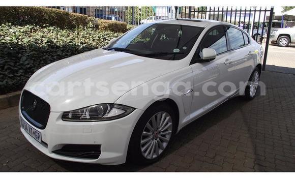 Buy Used Jaguar XF White Car in Big Bend in Lubombo District