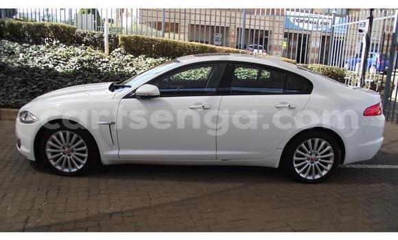 Buy Used Jaguar XF White Car in Big Bend in Lubombo District Buy Used Jaguar XF White Car in Big Bend in Lubombo District