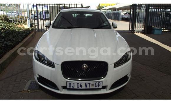 Buy Used Jaguar XF White Car in Big Bend in Lubombo District Buy Used Jaguar XF White Car in Big Bend in Lubombo District