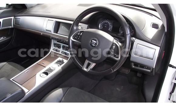 Buy Used Jaguar XF White Car in Big Bend in Lubombo District Buy Used Jaguar XF White Car in Big Bend in Lubombo District