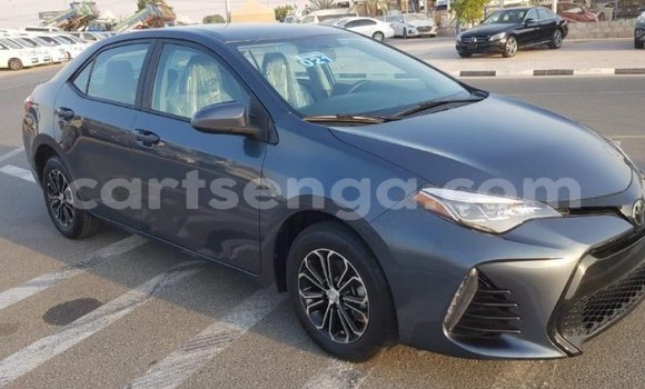 Buy Import Toyota Corolla Other Car in Import - Dubai in Hhohho Buy Import Toyota Corolla Other Car in Import - Dubai in Hhohho