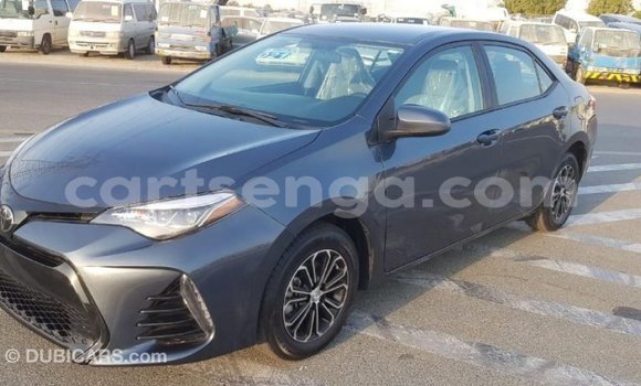 Buy Import Toyota Corolla Other Car in Import - Dubai in Hhohho Buy Import Toyota Corolla Other Car in Import - Dubai in Hhohho