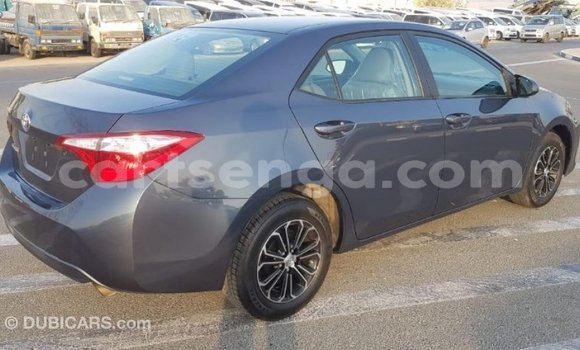 Buy Import Toyota Corolla Other Car in Import - Dubai in Hhohho Buy Import Toyota Corolla Other Car in Import - Dubai in Hhohho