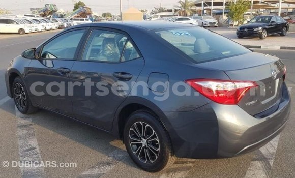 Buy Import Toyota Corolla Other Car in Import - Dubai in Hhohho Buy Import Toyota Corolla Other Car in Import - Dubai in Hhohho