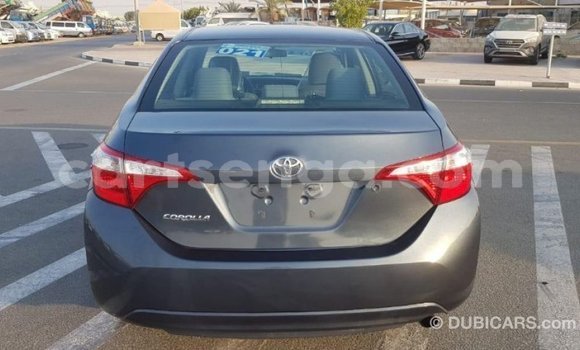 Buy Import Toyota Corolla Other Car in Import - Dubai in Hhohho Buy Import Toyota Corolla Other Car in Import - Dubai in Hhohho
