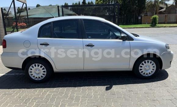 Buy Used Volkswagen Polo Silver Car in Ezulwini in Hhohho Buy Used Volkswagen Polo Silver Car in Ezulwini in Hhohho
