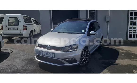 Buy Used Volkswagen Polo Silver Car in Big Bend in Lubombo District Buy Used Volkswagen Polo Silver Car in Big Bend in Lubombo District