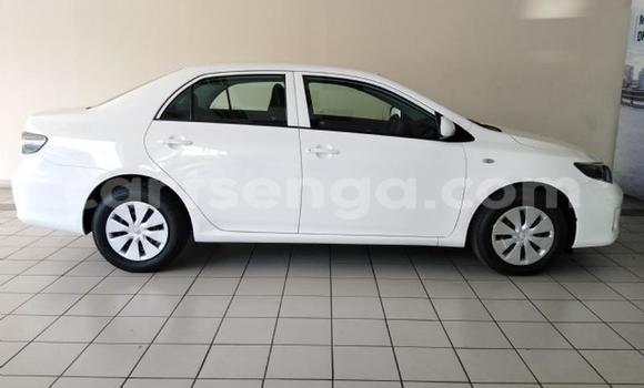 Acheter Occasion Voiture Toyota Corolla Blanc à Manzini, Manzini Acheter Occasion Voiture Toyota Corolla Blanc à Manzini, Manzini