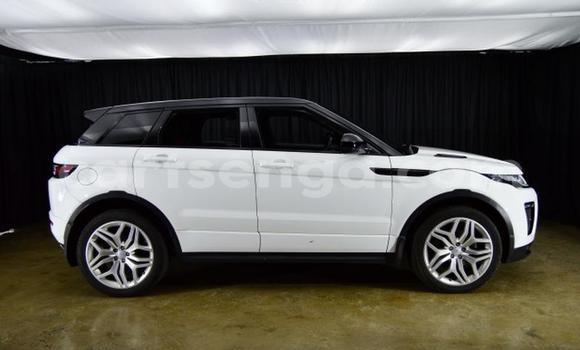 Acheter Occasion Voiture Land Rover Range Rover Evoque Blanc à Mbabane, Manzini Acheter Occasion Voiture Land Rover Range Rover Evoque Blanc à Mbabane, Manzini
