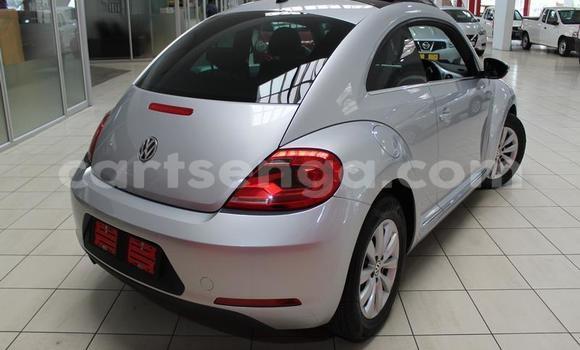 Acheter Occasion Voiture Volkswagen Beetle Gris à Mbabane, Manzini Acheter Occasion Voiture Volkswagen Beetle Gris à Mbabane, Manzini
