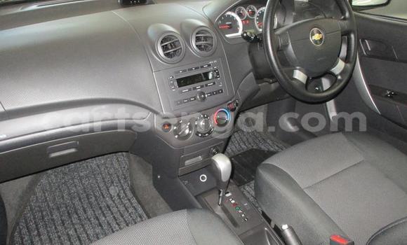 Acheter Occasion Voiture Chevrolet Aveo Blanc à Mbabane, Manzini Acheter Occasion Voiture Chevrolet Aveo Blanc à Mbabane, Manzini