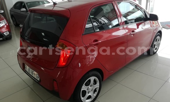 Nunua Ilio tumika Kia Picanto Red Gari ndani ya Ezulwini nchini Hhohho Nunua Ilio tumika Kia Picanto Red Gari ndani ya Ezulwini nchini Hhohho