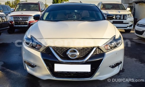 Buy Import Nissan Maxima White Car in Import - Dubai in Hhohho Buy Import Nissan Maxima White Car in Import - Dubai in Hhohho