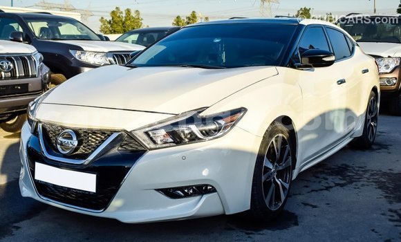 Buy Import Nissan Maxima White Car in Import - Dubai in Hhohho Buy Import Nissan Maxima White Car in Import - Dubai in Hhohho