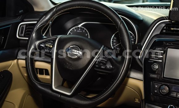 Buy Import Nissan Maxima White Car in Import - Dubai in Hhohho Buy Import Nissan Maxima White Car in Import - Dubai in Hhohho