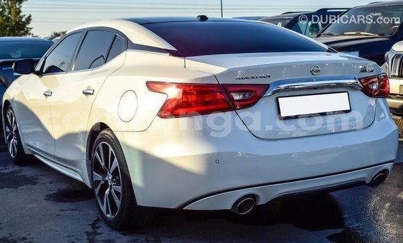 Buy Import Nissan Maxima White Car in Import - Dubai in Hhohho Buy Import Nissan Maxima White Car in Import - Dubai in Hhohho