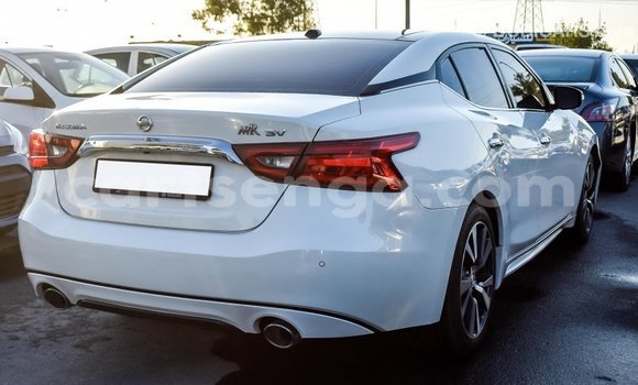 Buy Import Nissan Maxima White Car in Import - Dubai in Hhohho Buy Import Nissan Maxima White Car in Import - Dubai in Hhohho