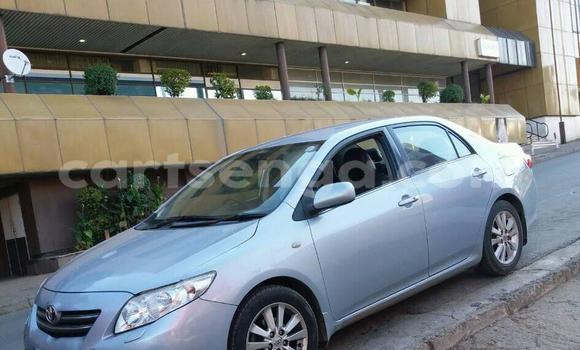 Acheter Occasion Voiture Toyota Corolla Gris à Mbabane, Manzini Acheter Occasion Voiture Toyota Corolla Gris à Mbabane, Manzini