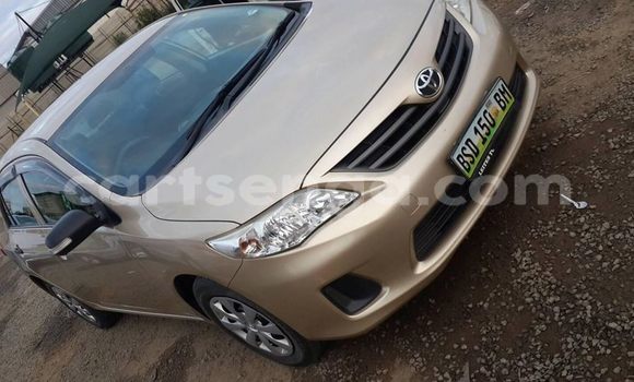 Acheter Occasion Voiture Toyota Corolla Marron à Mbabane, Manzini Acheter Occasion Voiture Toyota Corolla Marron à Mbabane, Manzini