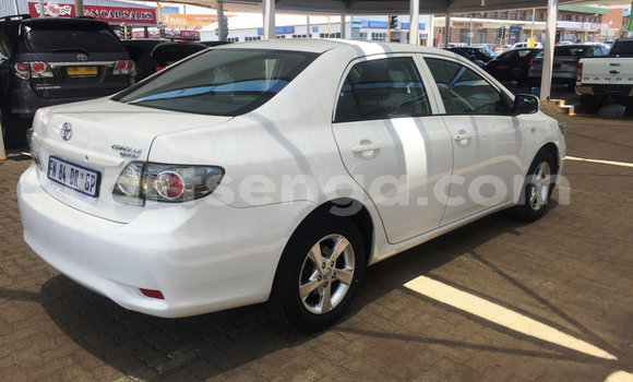 Buy Used Toyota Corolla White Car in Big Bend in Lubombo District Buy Used Toyota Corolla White Car in Big Bend in Lubombo District