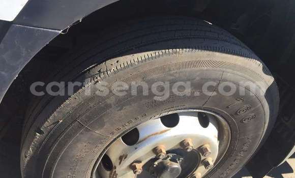 Acheter Occasion Utilitaire Hino 300 Series Blanc à Ezulwini, Hhohho Acheter Occasion Utilitaire Hino 300 Series Blanc à Ezulwini, Hhohho