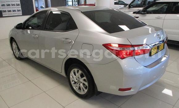 Nunua Ilio tumika Toyota Corolla Silver Gari ndani ya Manzini nchini Manzini Nunua Ilio tumika Toyota Corolla Silver Gari ndani ya Manzini nchini Manzini