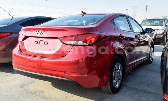 Buy Import Hyundai Elantra Red Car in Import - Dubai in Hhohho Buy Import Hyundai Elantra Red Car in Import - Dubai in Hhohho