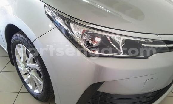 Nunua Ilio tumika Toyota Corolla Silver Gari ndani ya Mbabane nchini Manzini Nunua Ilio tumika Toyota Corolla Silver Gari ndani ya Mbabane nchini Manzini