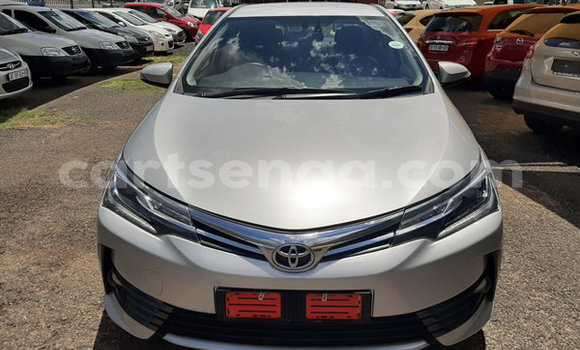 Nunua Ilio tumika Toyota Corolla Silver Gari ndani ya Ezulwini nchini Hhohho Nunua Ilio tumika Toyota Corolla Silver Gari ndani ya Ezulwini nchini Hhohho