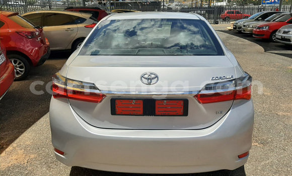 Nunua Ilio tumika Toyota Corolla Silver Gari ndani ya Ezulwini nchini Hhohho Nunua Ilio tumika Toyota Corolla Silver Gari ndani ya Ezulwini nchini Hhohho