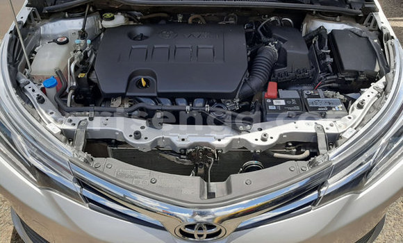 Nunua Ilio tumika Toyota Corolla Silver Gari ndani ya Ezulwini nchini Hhohho Nunua Ilio tumika Toyota Corolla Silver Gari ndani ya Ezulwini nchini Hhohho