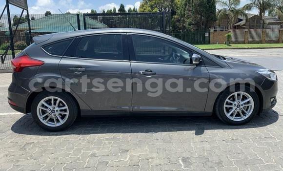 Buy Used Ford Focus Silver Car in Mbabane in Manzini Buy Used Ford Focus Silver Car in Mbabane in Manzini