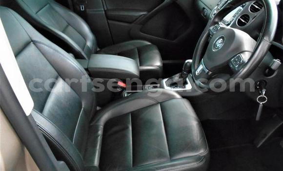 Buy Used Volkswagen Tiguan Silver Car in Big Bend in Lubombo District Buy Used Volkswagen Tiguan Silver Car in Big Bend in Lubombo District