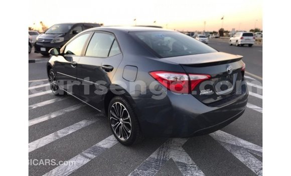 Buy Import Toyota Corolla Other Car in Import - Dubai in Hhohho Buy Import Toyota Corolla Other Car in Import - Dubai in Hhohho