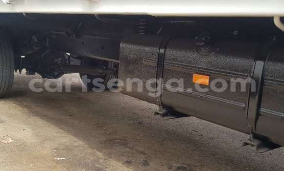 Acheter Occasion Utilitaire Hino 300 Series Blanc à Ezulwini, Hhohho Acheter Occasion Utilitaire Hino 300 Series Blanc à Ezulwini, Hhohho