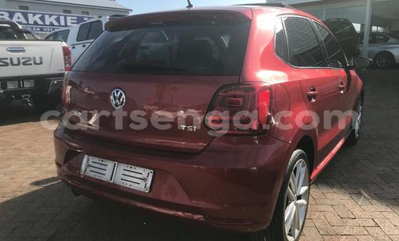 Buy Used Volkswagen Polo Red Car in Big Bend in Lubombo District Buy Used Volkswagen Polo Red Car in Big Bend in Lubombo District
