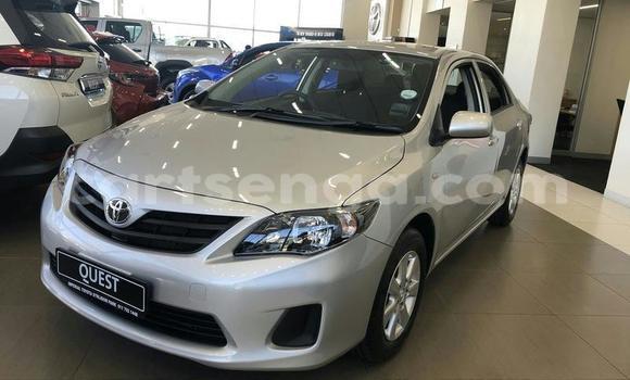 Acheter Occasion Voiture Toyota Corolla Gris à Mondi, Hhohho Acheter Occasion Voiture Toyota Corolla Gris à Mondi, Hhohho