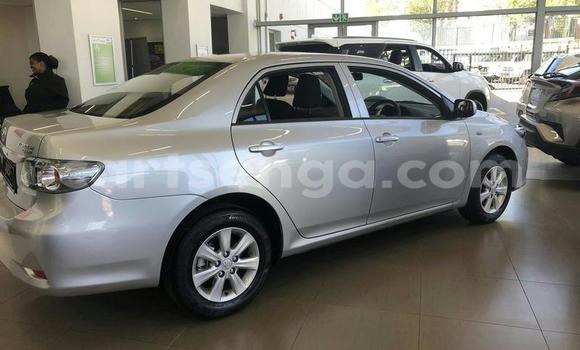 Acheter Occasion Voiture Toyota Corolla Gris à Mondi, Hhohho Acheter Occasion Voiture Toyota Corolla Gris à Mondi, Hhohho