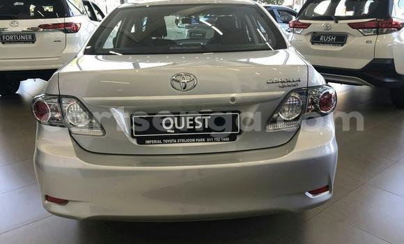 Acheter Occasion Voiture Toyota Corolla Gris à Mondi, Hhohho Acheter Occasion Voiture Toyota Corolla Gris à Mondi, Hhohho