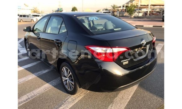 Buy Import Toyota Corolla Black Car in Import - Dubai in Hhohho Buy Import Toyota Corolla Black Car in Import - Dubai in Hhohho