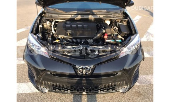 Buy Import Toyota Corolla Black Car in Import - Dubai in Hhohho Buy Import Toyota Corolla Black Car in Import - Dubai in Hhohho