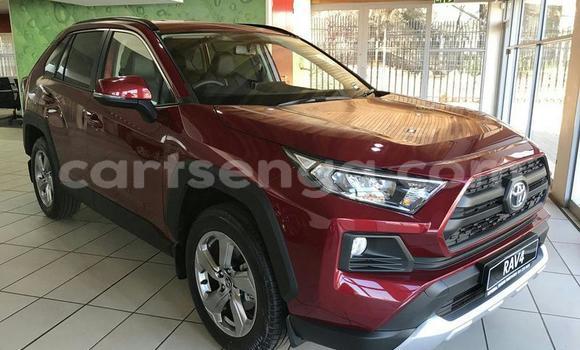 Nunua Ilio tumika Toyota RAV4 Red Gari ndani ya Hlatikulu nchini Wilaya ya Shiselweni Nunua Ilio tumika Toyota RAV4 Red Gari ndani ya Hlatikulu nchini Wilaya ya Shiselweni