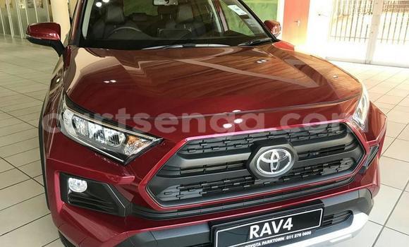 Nunua Ilio tumika Toyota RAV4 Red Gari ndani ya Hlatikulu nchini Wilaya ya Shiselweni Nunua Ilio tumika Toyota RAV4 Red Gari ndani ya Hlatikulu nchini Wilaya ya Shiselweni