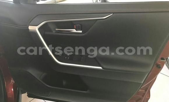 Nunua Ilio tumika Toyota RAV4 Red Gari ndani ya Hlatikulu nchini Wilaya ya Shiselweni Nunua Ilio tumika Toyota RAV4 Red Gari ndani ya Hlatikulu nchini Wilaya ya Shiselweni