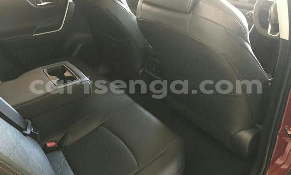 Nunua Ilio tumika Toyota RAV4 Red Gari ndani ya Hlatikulu nchini Wilaya ya Shiselweni Nunua Ilio tumika Toyota RAV4 Red Gari ndani ya Hlatikulu nchini Wilaya ya Shiselweni