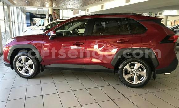 Nunua Ilio tumika Toyota RAV4 Red Gari ndani ya Hlatikulu nchini Wilaya ya Shiselweni Nunua Ilio tumika Toyota RAV4 Red Gari ndani ya Hlatikulu nchini Wilaya ya Shiselweni