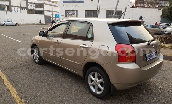 Buy Used Toyota Runx Other Car in Manzini in Manzini Buy Used Toyota Runx Other Car in Manzini in Manzini