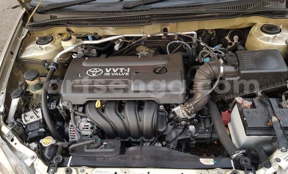 Buy Used Toyota Runx Other Car in Manzini in Manzini Buy Used Toyota Runx Other Car in Manzini in Manzini