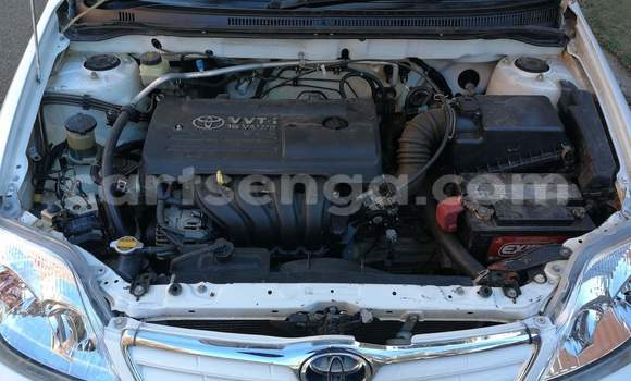 Buy Used Toyota Corolla White Car in Mankayane in Manzini Buy Used Toyota Corolla White Car in Mankayane in Manzini