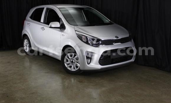 Acheter Occasion Voiture Kia Picanto Gris à Mbabane, Manzini Acheter Occasion Voiture Kia Picanto Gris à Mbabane, Manzini